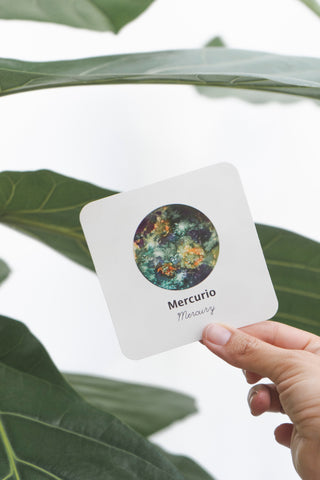 Flashcards a prueba de agua Modelo “Sistema solar”