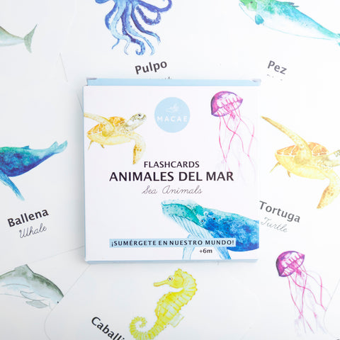 Flashcards a prueba de agua Modelo  “Animales del mar”