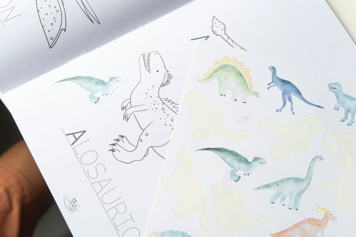 Libros de actividades dinos