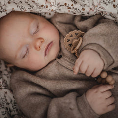 Chupón Frigg Andersen latex (Twilight mauve / Primrose)