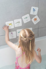Flashcards a prueba de agua Macae (6 modelos diferentes)