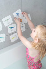 Flashcards a prueba de agua Macae (6 modelos diferentes)