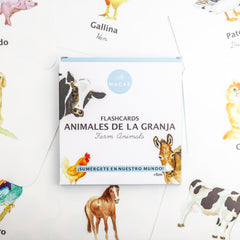 Flashcards a prueba de agua Macae (6 modelos diferentes)