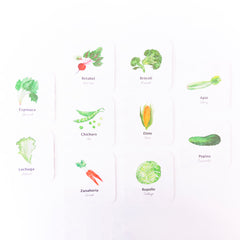 Flashcards a prueba de agua Macae (6 modelos diferentes)