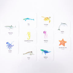 Flashcards a prueba de agua Macae (6 modelos diferentes)