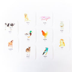 Flashcards a prueba de agua Macae (6 modelos diferentes)