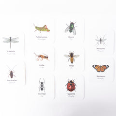Flashcards a prueba de agua Macae (6 modelos diferentes)