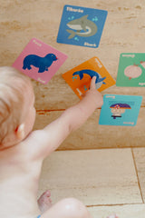 Memorama prueba de agua (5 modelos diferentes)